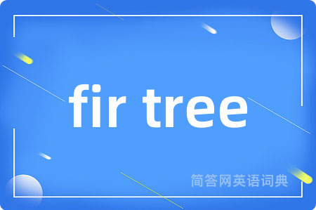 fir tree