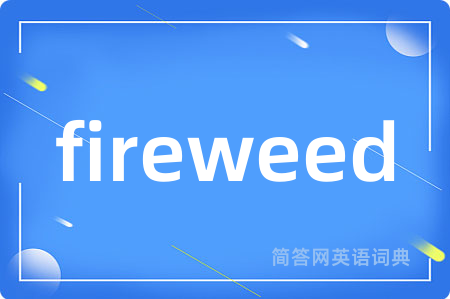 fireweed