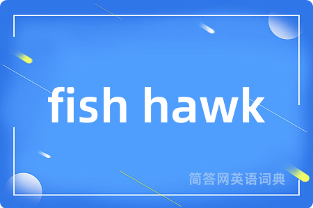 fish hawk