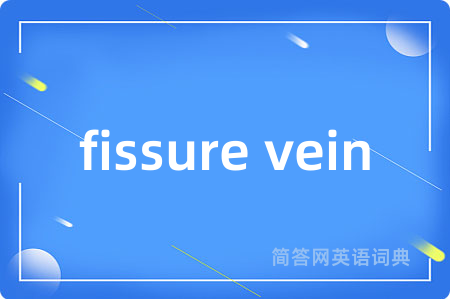 fissure vein是什么意思,fissure vein的中文翻译 fissure vein