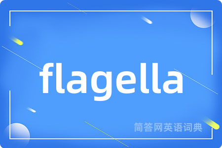 flagella