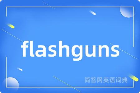 flashguns