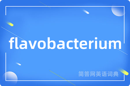 flavobacterium