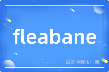 fleabane