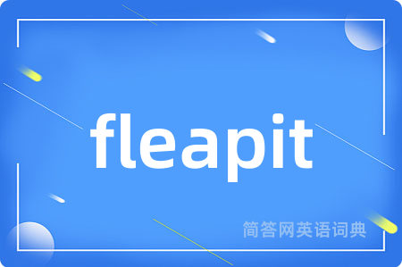 fleapit