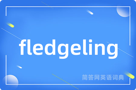 fledgeling