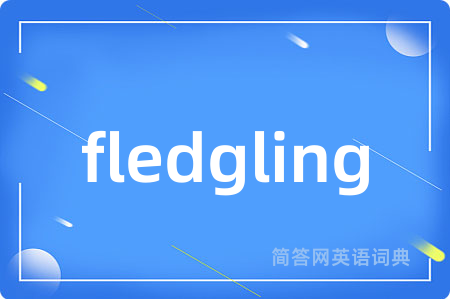 fledgling