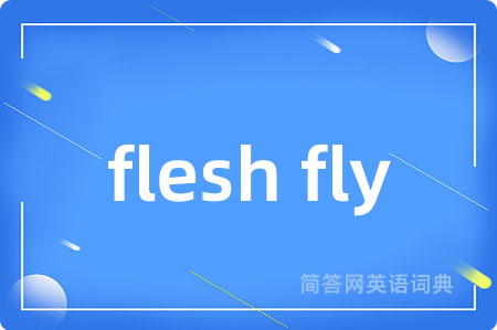 flesh fly