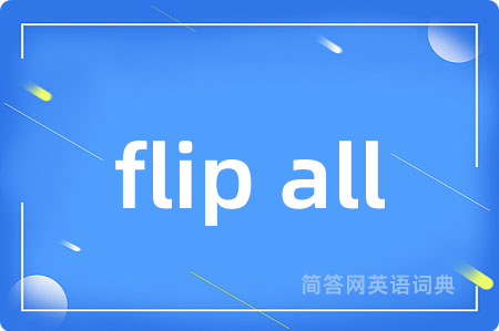 flip all是什么意思,flip all的中文翻译 flip all