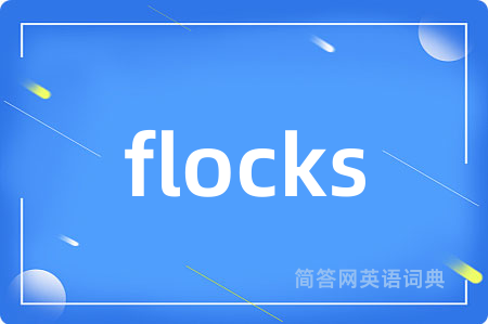 flocks