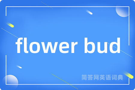flower bud是什么意思,flower bud的中文翻译 flower bud