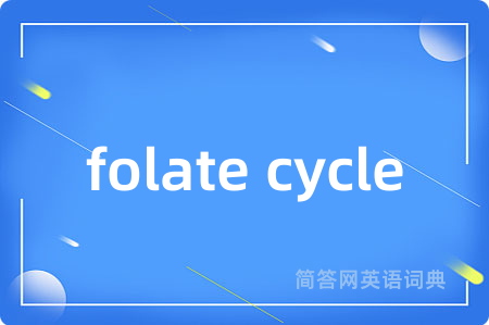 folate cycle