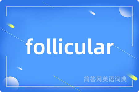follicular