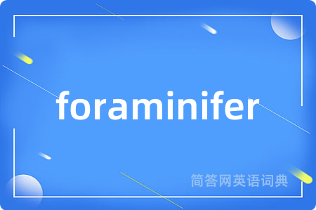 foraminifer