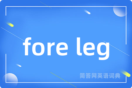 fore leg