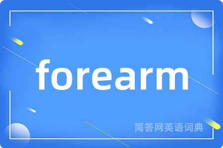 forearm