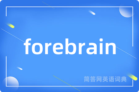 forebrain是什么意思,forebrain的中文翻译 forebrain