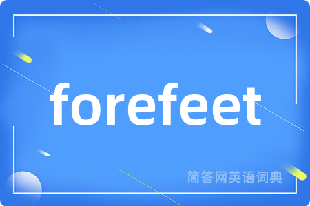 forefeet