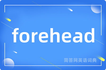 forehead