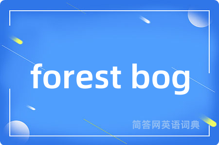 forest bog