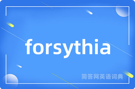 forsythia