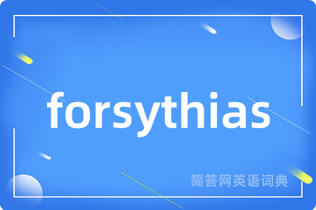 forsythias