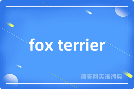 fox terrier
