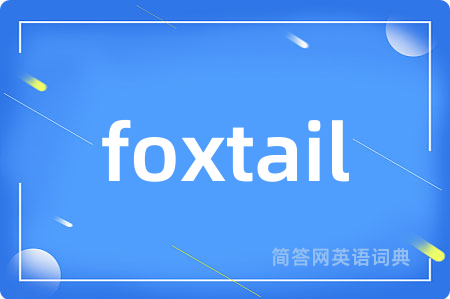 foxtail