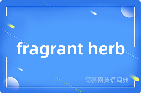 fragrant herb