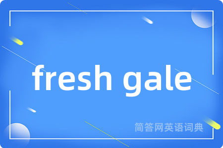 fresh gale