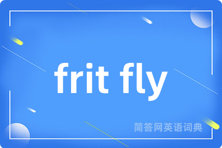 frit fly