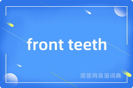 front teeth是什么意思,front teeth的中文翻译 front teeth