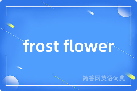 frost flower