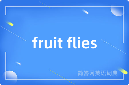 fruit flies