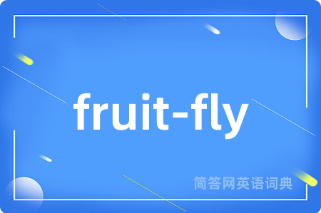 fruit-fly是什么意思,fruit-fly的中文翻译 fruit-fly
