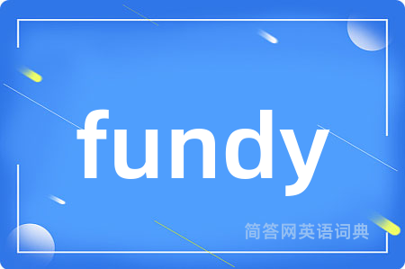fundy是什么意思,fundy的中文翻译 fundy
