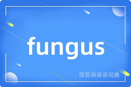fungus