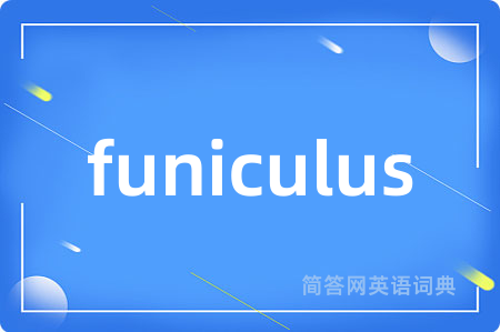 funiculus