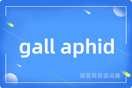 gall aphid