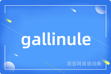 gallinule