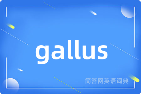 gallus