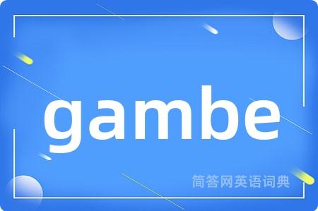 gambe