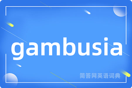 gambusia是什么意思,gambusia的中文翻译 gambusia