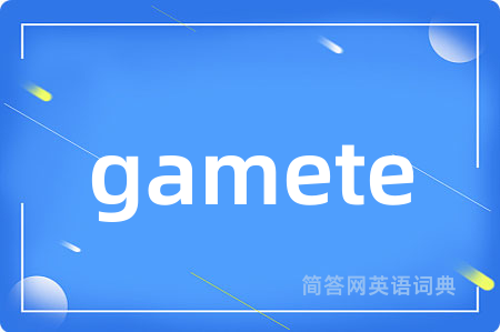 gamete