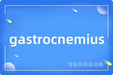 gastrocnemius是什么意思,gastrocnemius的中文翻译 gastrocnemius