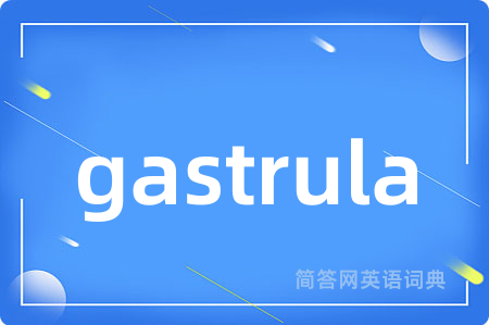 gastrula