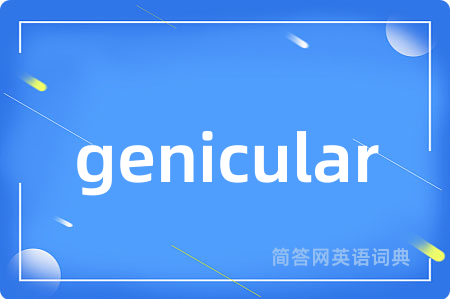 genicular