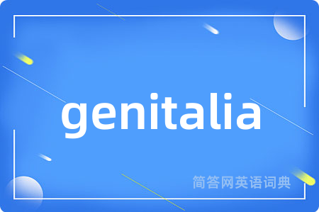 genitalia是什么意思,genitalia的中文翻译 genitalia