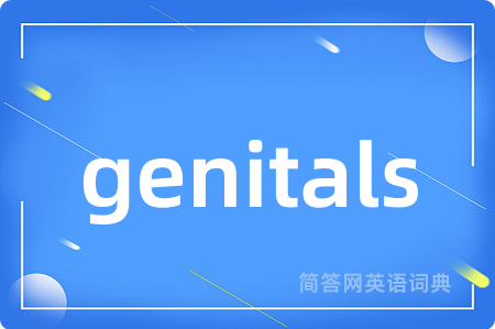genitals是什么意思,genitals的中文翻译 genitals
