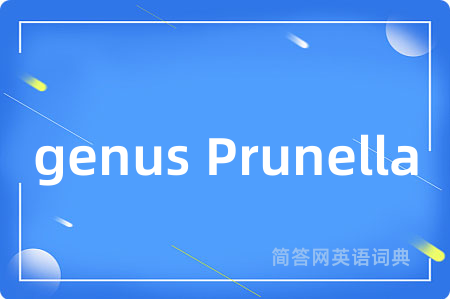 genus Prunella